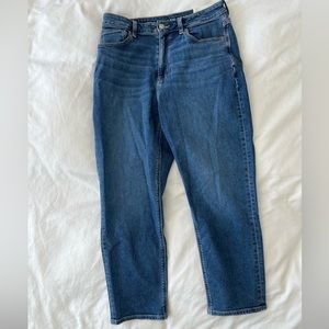 NWT AE Stretch Mom Classic Blue Jean -  Size 8 Short